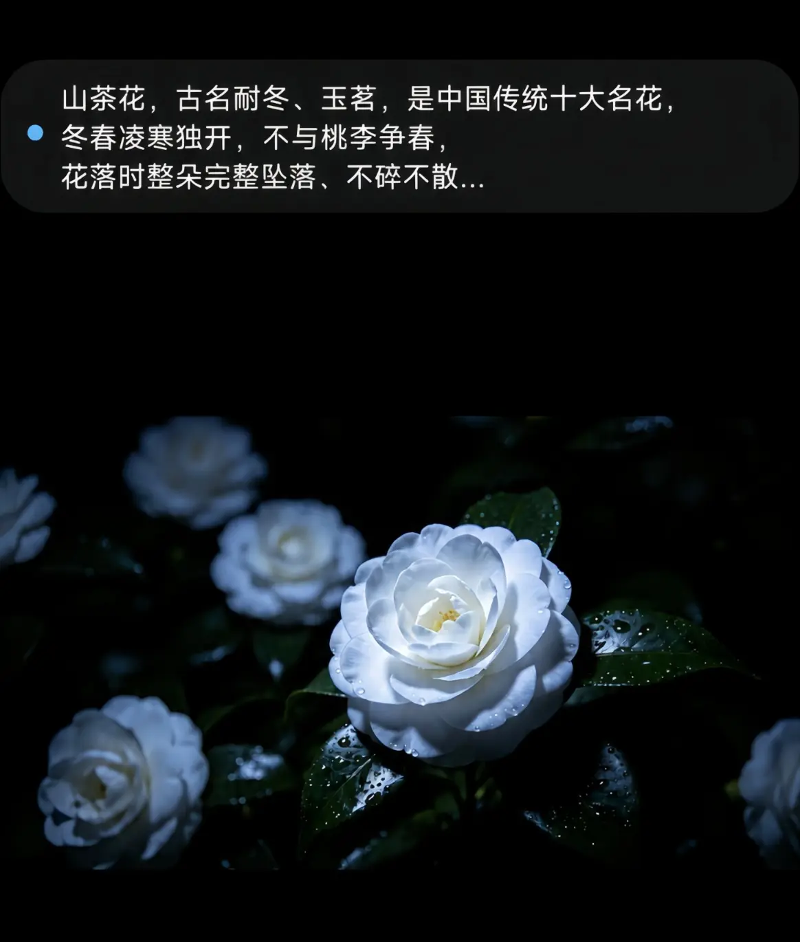 声幕悬浮字幕显示在其他应用上方的真实效果