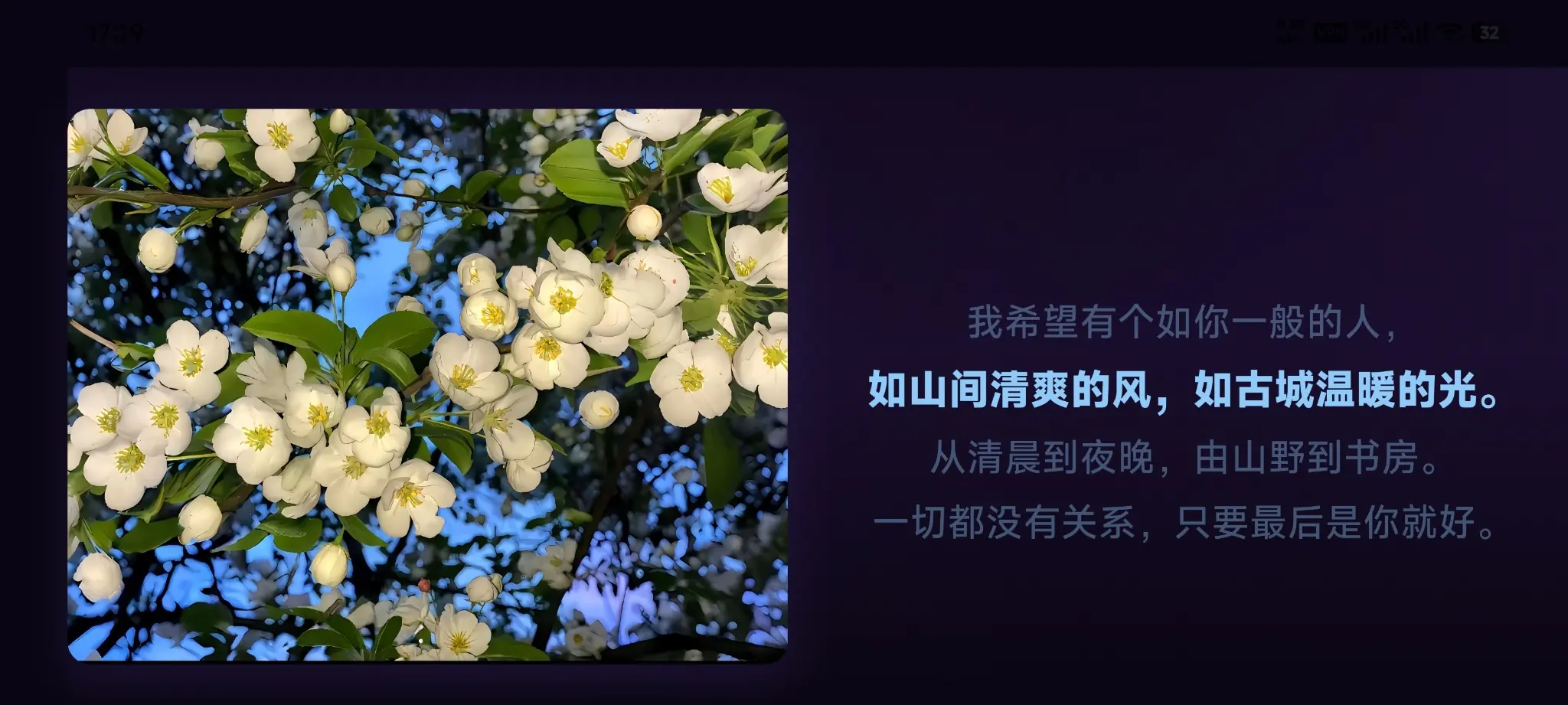声幕横屏歌词播放界面